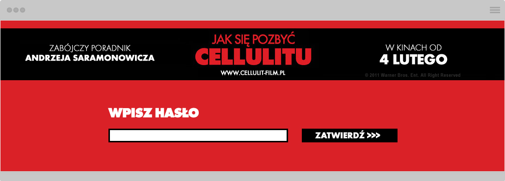 warner-bros-jak-sie-pozbyc-cellulitu-kampania-online-okno11